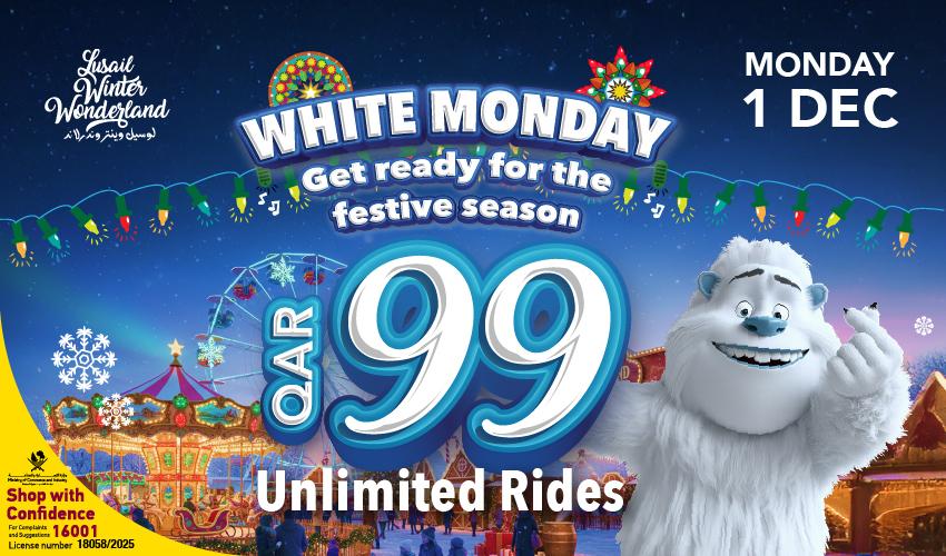 Bricks And Bounce Inflatable Img